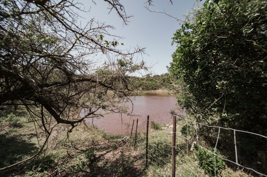 Commercial Property for Sale in Cove Ridge East Eastern Cape